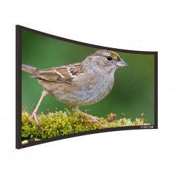 Liberty Screen Pro 150" (2.35:1) Curved Fixed Frame Screen (TW - Woven Accoustic) 90MM