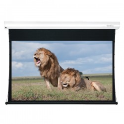 Liberty Grandview 92" (16:9) Cyber Tab Tension Screen Mid / Long Throw CLR. (ALR) - 4K. DY4 Multi Control Systems.