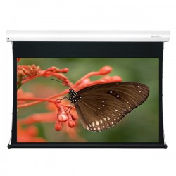 Liberty Grandview 100" (16:9) Cyber Tab Tension Screen Mid / Long Throw CLR. (ALR) - 4K. DY7 Multi Control Systems.