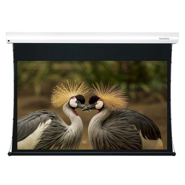 Liberty Grandview 110" (2.35:1) Cyber Tab Tension Screen Mid / Long Throw CLR. (ALR) - 4K. DY7. Multi Control Systems.