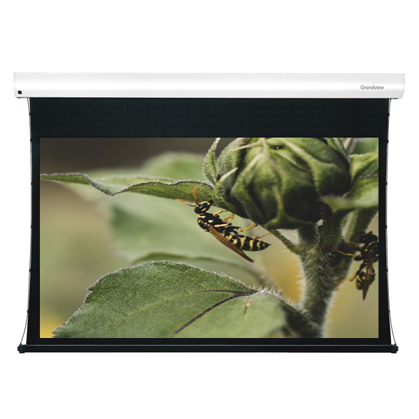 Liberty Grandview 200" (16:9) Cyber Tab Tension Screen Mid / Long Throw CLR. (ALR) - 4K. DY4. Multi Control Systems. (with wooden crate packing)