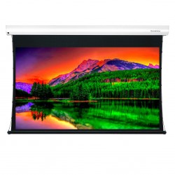 Liberty Grandview 77" (16:9) Cyber Tab tension PS Series Multi Control Matte RE6 Screen.
