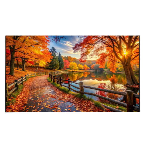 Liberty Grandview 115" (2.35:1) Edge Fixed Frame With 15 mm. R4. (WB7. HD. White Matte) Screen. 