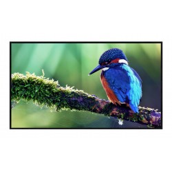 Liberty Grandview 100" (16:9) Zeroedge Fixed Fixed Frame Screen with 7 mm Frame (AW6 Acoustic Weaved)