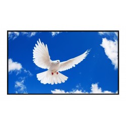 Liberty Grandview 112" (16:9) Zeroedge Fixed Fixed Frame Screen with 7 mm Frame (WB7 PS series White)