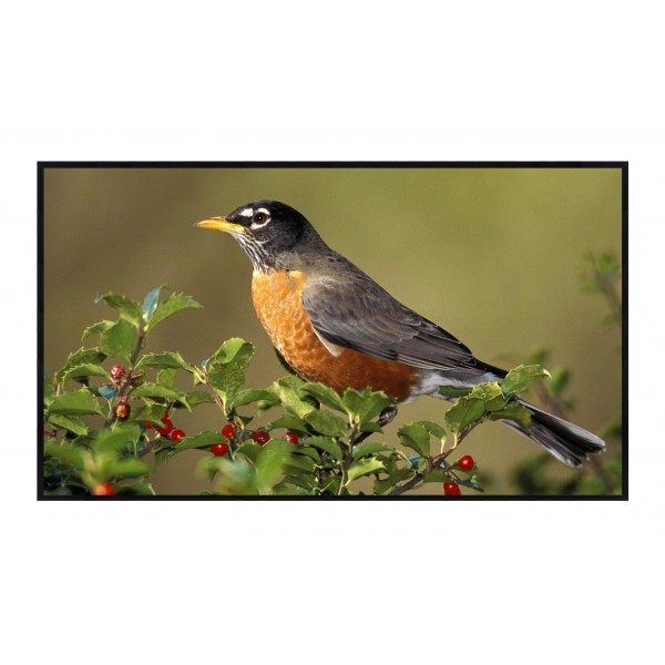 Liberty Grandview 77" (16:10) Zeroedge Fixed Fixed Frame Screen With 7 Mm Frame (WW3 PS Series White)