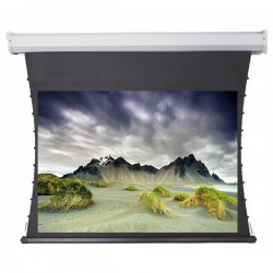 Liberty Redleaf 110" (16:9) Elite Tab Tension Screen with Matte White Vinyle Fabric