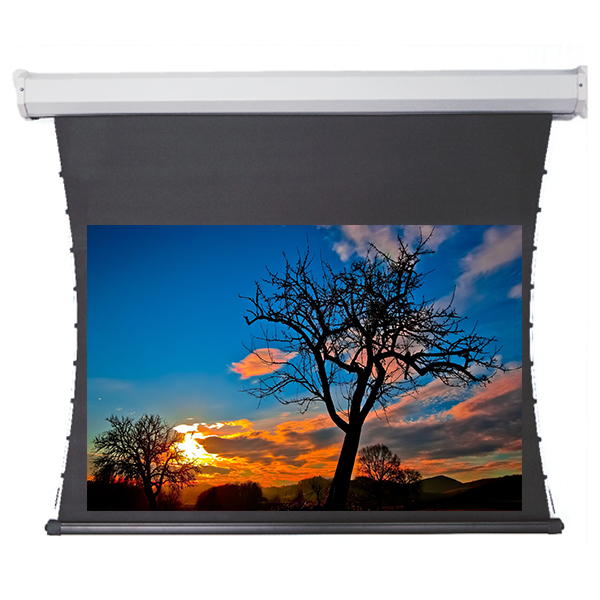 Liberty Redleaf 110" (16:9) Elite Tab Tension Screen with Matte White 4K Fabric