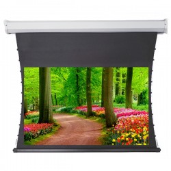 Liberty Redleaf 125" (16:9) Elite Tab Tension Screen with Matte White 4K Fabric