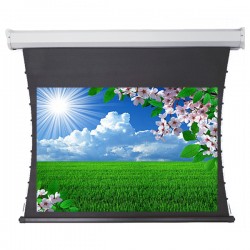 Liberty Redleaf 135" (16:9) Elite Tab Tension Screen with Matte White Vinyle Fabric