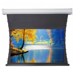 Liberty Redleaf 135" (16:9) Elite Tab Tension Screen with Acoustic Matte White Fabric