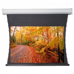 Liberty Redleaf 140" (16:9) Elite Tab Tension Screen with Matte White Vinyle Fabric