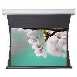 Liberty Redleaf 140" (16:9) Elite Tab Tension Screen with Matte White 4K Fabric