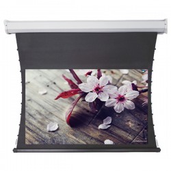 Liberty Redleaf 123" (16:9) Elite Tab Tension Screen with Matte White 4K Fabric