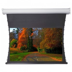 Liberty Redleaf 180" (16:9) Elite Tab Tension Screen with 3D Acoustic Fabric (Wooden Crate)