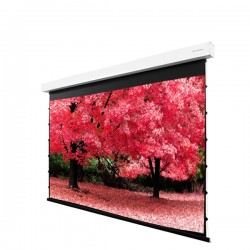 Liberty Grandview 113" (16:10) Fancy II. Tab Tension Motorized Screen.