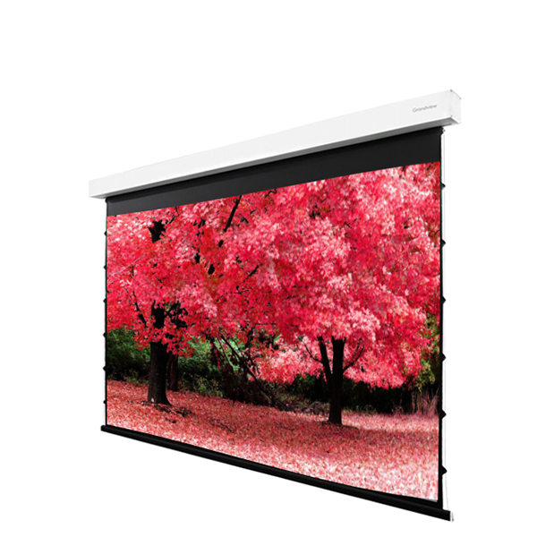 Liberty Grandview 113" (16:10) Fancy II. Tab Tension Motorized Screen.