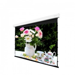 Liberty Grandview 130" (16:10) Fancy II. Tab Tension Motorized Screen.