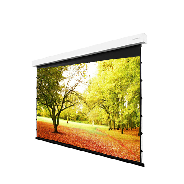 Liberty Grandview 120" (16:9) Fancy II. Tab Tension Motorized Screen.