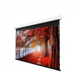 Liberty Grandview 133" (16:9) Fancy II. Tab Tension Motorized Screen.