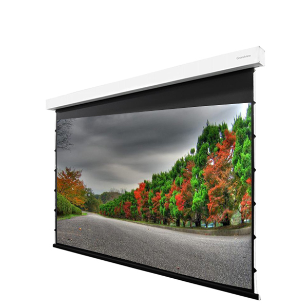 Liberty Grandview 123" (16:10) Fancy II. Tab Tension Motorized Screen.