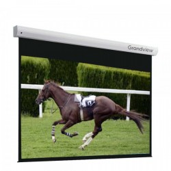 Liberty Grandview 200" (16:9) Elegant Tubular Motor Motorized Screen with Matte White Fiber Glass Fabric WM5. (with Wooden Crate Packing) 