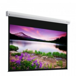 Liberty Grandview 200" (4:3) Elegant Series Motorized Screen (with Wooden Crate Packing)