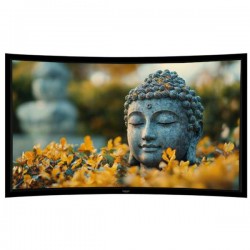 Liberty Grandview 125" (2.35:1) Prestige Curved Fixed Frame With 8cm PS. Series RE3. Rare Projection Screen