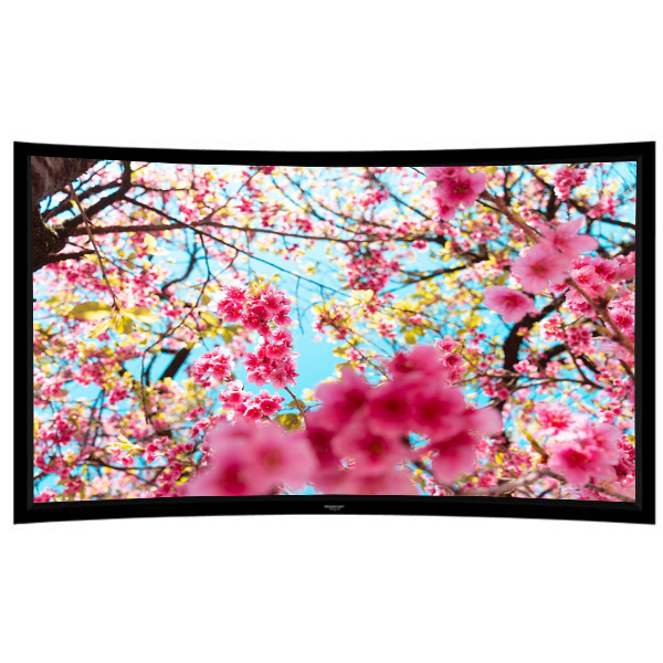 Liberty Grandview 94" (16:10) Prestige Curved Fixed Frame With 8cm PS. Series RE3. Rare Projection Screen.