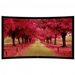 Liberty Grandview 109" (16:10) Prestige Curved Fixed Frame With 8cm PS. Series DY20. Dynamique 3D. Screen.