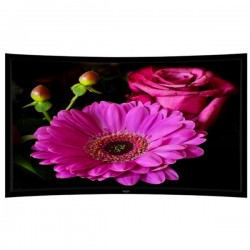 Liberty Grandview 109" (16:10) Prestige Curved Fixed Frame With 8cm PS. Series AW6. Acoustic Weaved Screen.