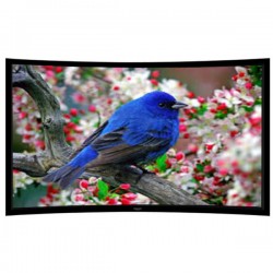 Liberty Grandview 150" (2.35:1) Ultimate Curved Fixed Frame 10cms PS. Series RE3. Rare Projection Screen