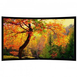 Liberty Grandview 200" (16:10) Ultimate Curved Fixed Frame 10cms PS. Series RE3. Rare Projection Screen With Wooden Crate.