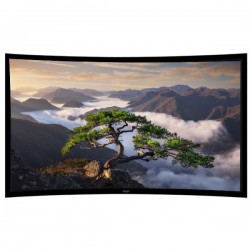 Liberty Grandview 226" (16:10) Ultimate Curved Fixed Frame 10cms PS. Series DY20. Dynamique 3D. Screen With Wooden Crate.