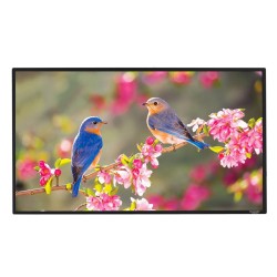 Liberty Grandview 100"(16:9) Edge Fixed Frame Screen With 2.9 Cms WB7 Frame With Matt White