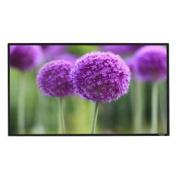 Liberty Grandview 120"(16:9) Edge Fixed Frame Screen With 2.9 Cms WB7 Frame With Matt White