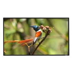 Liberty Grandview 133"(16:9) Edge Fixed Frame Screen With 2.9 Cms Frame With Perforated