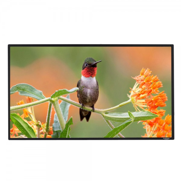 Liberty Grandview 82"(16:10) Edge Fixed Frame Screen With 2.9 Cms Frame With Perforated