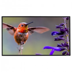 Liberty Grandview (4'x7')92" (16:9) Prestige Fixed Frame Screen with 8cm Frame and Acoustic Weaved