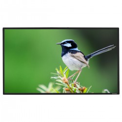  Liberty Grandview Prestige Fixed Frame Screen with 8cms 150"16:9 WB7 HD Matte White (with Wooden Crate Packing)