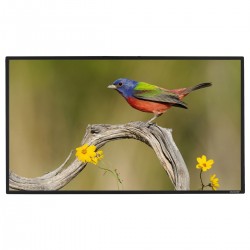 Liberty Grandview 132" (2.35:1) Prestige Fixed Frame Screen with 8cms WB7 HD Matte White