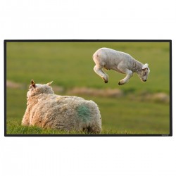 Liberty Grandview 180" (2.35:1) Ultimate Fixed Frame Screen WW5 HD Matte White 10cms (with Wooden Crate Packing)