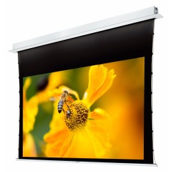 Liberty Grandview 120" (16:9) Hidetech Recessed Tab-Tension Screen With Trap Bar