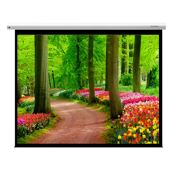 Liberty Grandview Cyber IP Control MOTORISED Tubular. 106" (16:9) WM5 MW Fiber Glass, with Multi Control.