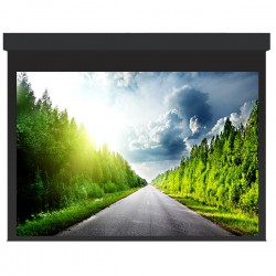 Liberty Grandview 220" (16:10) Large Stage Tab Tension Motorized Screen With RF. Remote Control (with Wooden Crate Packing).