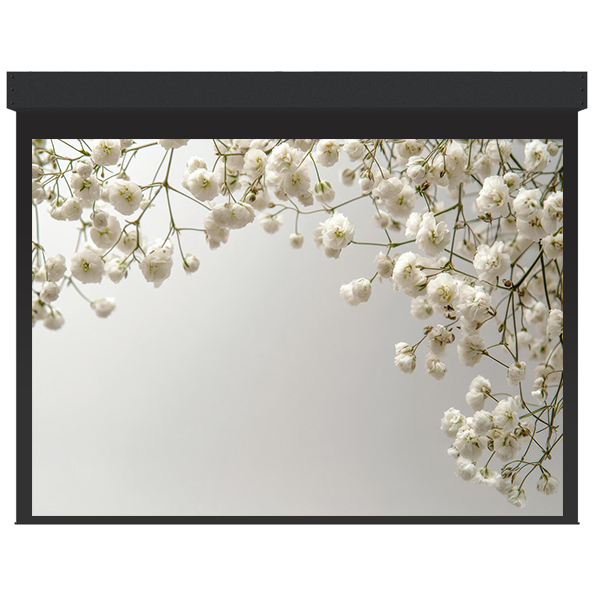 Liberty Grandview 400" (16:10) Large Stage Tab Tension Motorized Screen With RF remote Control (with Wooden Crate Packing)