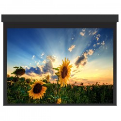 Liberty Grandview 600" (16:10) Large Stage Tab Tension Motorized Screen With RF. Remote Control (with Wooden Crate Packing).