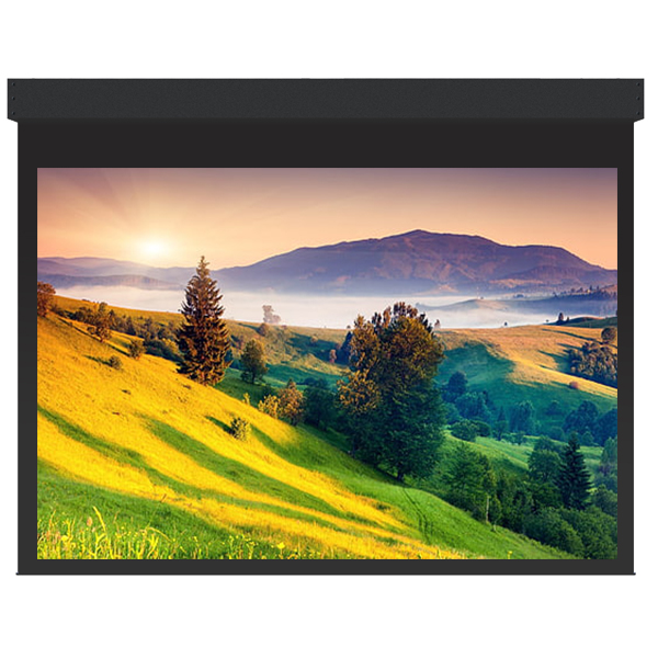 Liberty Grandview 250" (16:9) Large Stage Tab Tension Motorized Screen With RF remote Control (with Wooden Crate Packing)