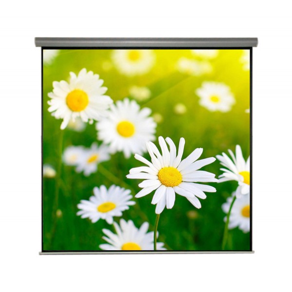 Liberty Show Juno 120"  (4:3) Motorized Screen with Matte White Fabric  (6'X8')