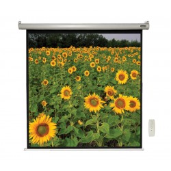 Liberty View 84"  (4:3) Motorized Screen With Matte White Fabric & RF Remote (6'x4')